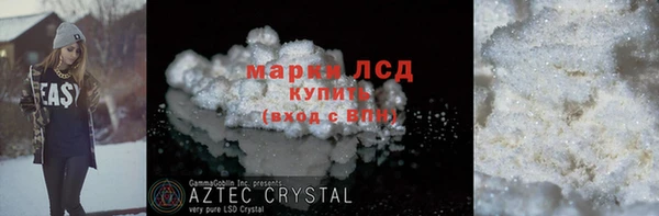 прущие грибы Коряжма