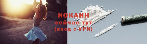 ALPHA PVP Горняк