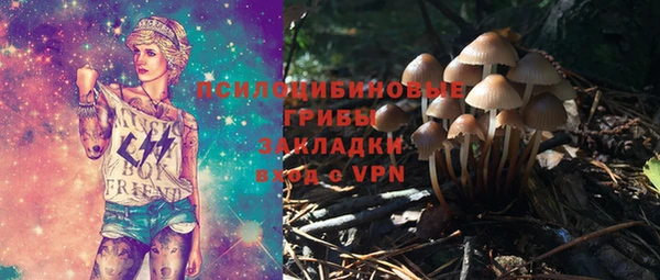МДПВ Абдулино