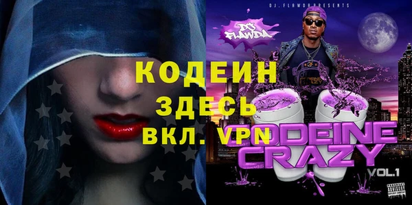 индика Абинск