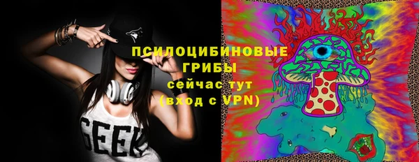 прущие грибы Снежинск