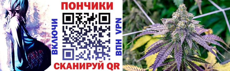 OMG ссылка  купить наркоту  Емва  shop клад  МАРИХУАНА гибрид 